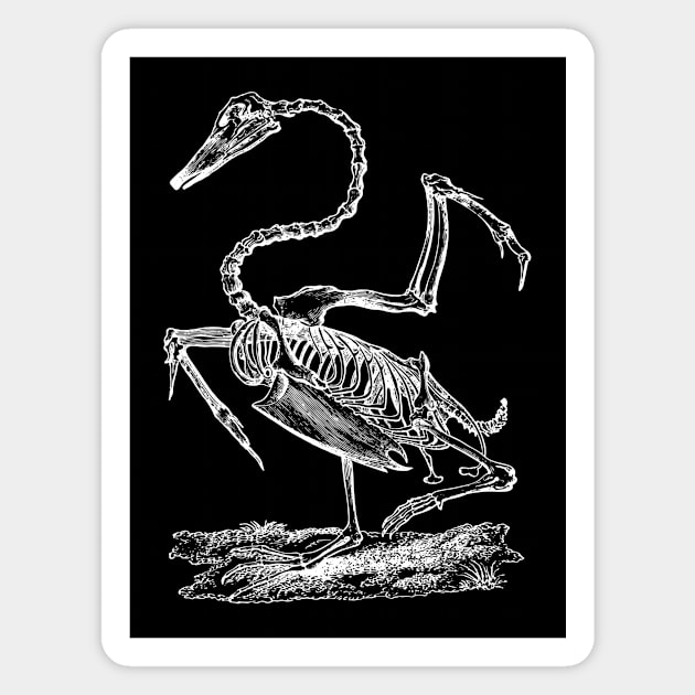 Swan Skeleton Magnet by tommartinart